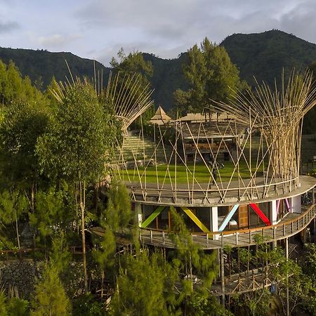 Pagupon Bromo Budget Lodge Exterior photo