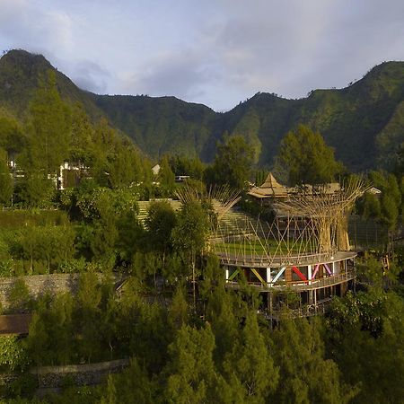 Pagupon Bromo Budget Lodge Exterior photo